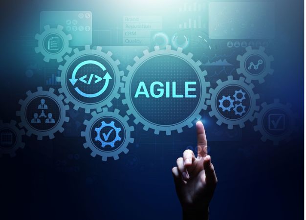 Untitled design 17 &raquo; Training