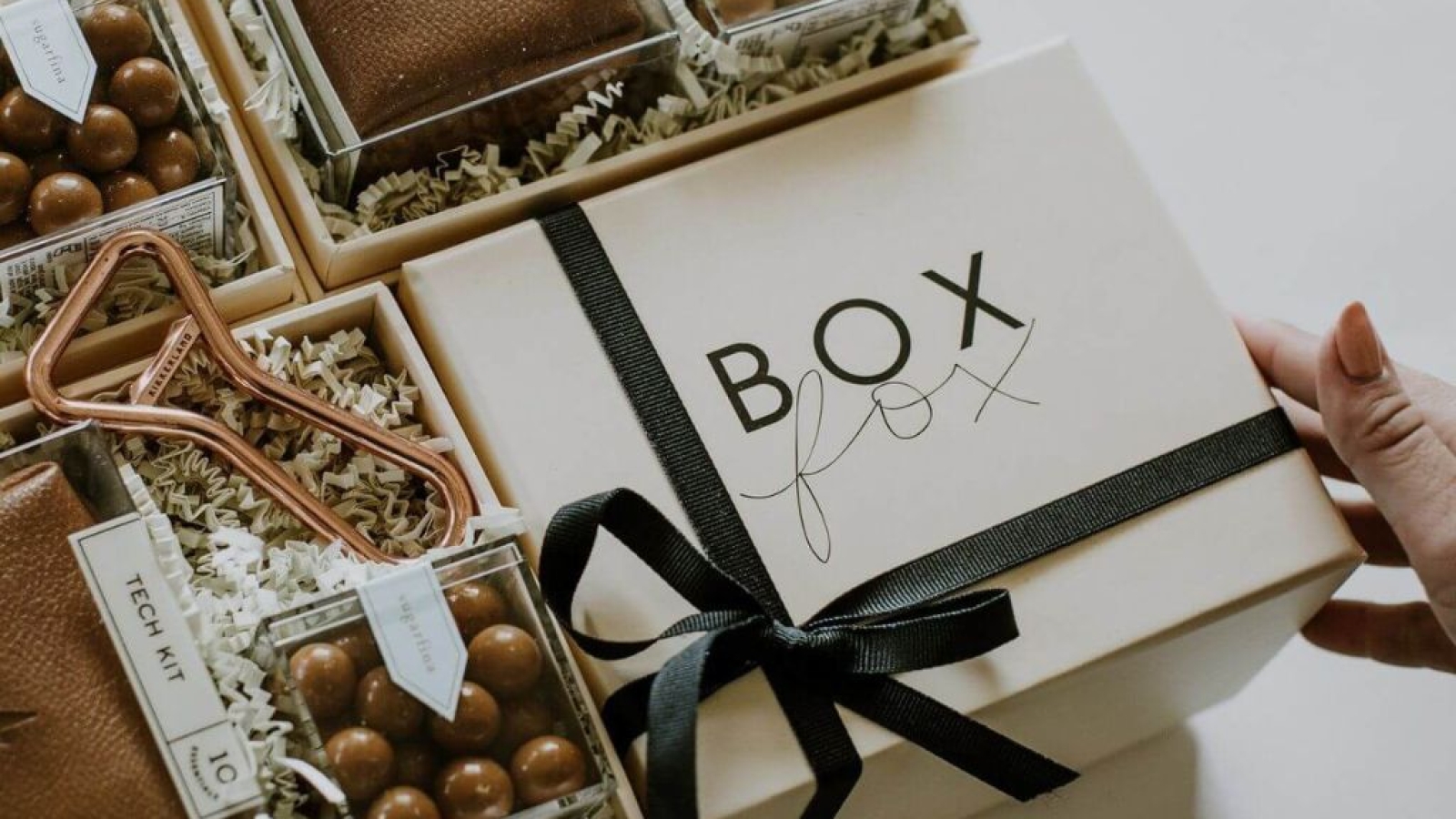 Untitled design (55)