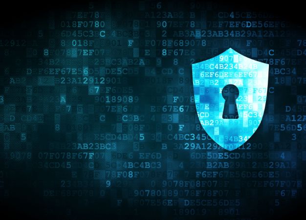 Untitled design 6 &raquo; Training